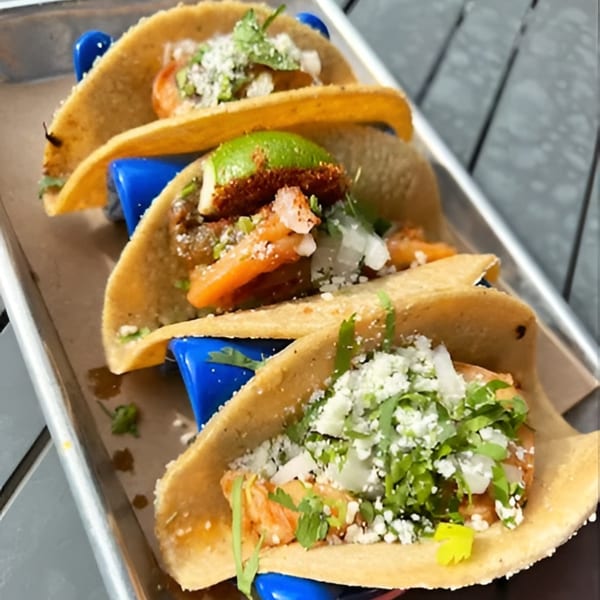 Three Bar Bacoa tacos with various fillings, cheese, and cilantro in blue holders on a tray.